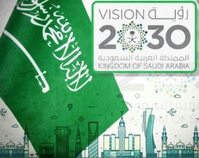 Vision 2030 وطن لانحميه لا نستحق العيش فيه